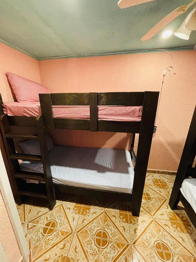 Forest View Apartment Six Huts Екстериор снимка
